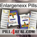 Enlargenexx Pills 12